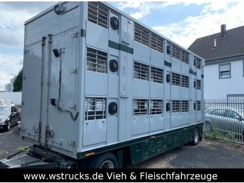 Remolque transporte de ganado Finkl 3 Stock   Vollalu: foto 1