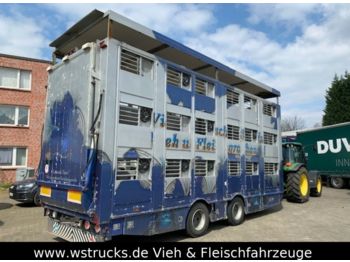 Remolque transporte de ganado Finkl Tandem Hubdach 3 Stock: foto 1