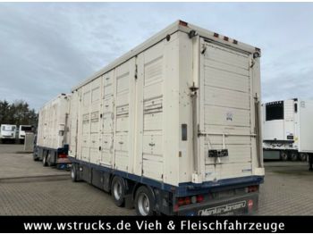 Remolque transporte de ganado Menke 3 Stock Ausahrbares Dach Vollalu  7,35m: foto 1