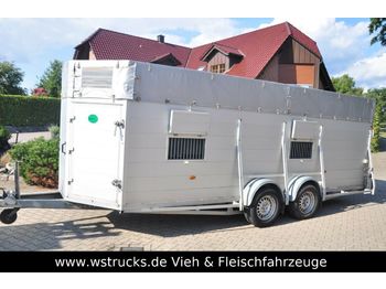 Blomert Einstock Vollalu 5,70 m  - Remolque transporte de ganado