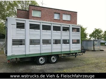 Remolque transporte de ganado Stehmann 2 Stock: foto 1