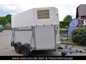 Remolque transporte de ganado Westfalia Holz Plane 2 Pferde: foto 1