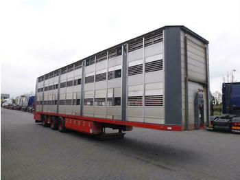 Semirremolque transporte de ganado FLIEGL WITH VANBORG 3-AXLE ANIMAL TRANSPORT BPW: foto 1