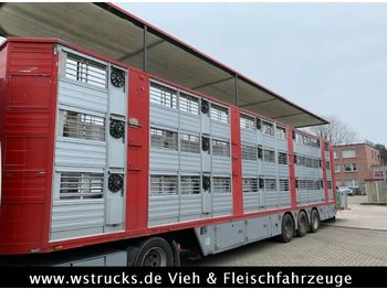 Semirremolque transporte de ganado Finkl 3 Stock Ausahrbares Dach Vollalu Typ 2: foto 1