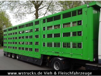 Semirremolque transporte de ganado KABA 5 Stock Lenk Lift Typ2 Lüfter Dusche Tränk: foto 1