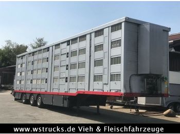 Semirremolque transporte de ganado Menke 4 Stock Lenk Lift Typ2 Lüfter Dusche Tränk: foto 1