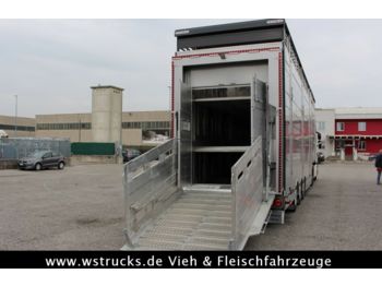 Semirremolque transporte de ganado nuevo Pezzaioli 2 x SBA31-SR  3 Stock "Neu" Sofort: foto 1
