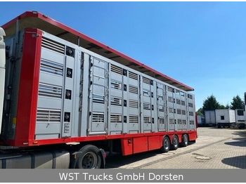 Semirremolque transporte de ganado Menke 4 Stock Lenk Lift Typ2 Lüfter Dusche Tränk