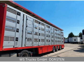 Menke-Janzen 4 Stock Vollalu Typ 2 Lenkachse  - Semirremolque transporte de ganado