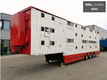 Pezzaioli SBA31U / Wassertank / Liftachse / 2 Stock  - semirremolque transporte de ganado
