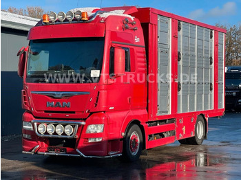 Camión transporte de ganado MAN TGX 18.580