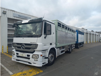 Camión transporte de ganado MERCEDES-BENZ Actros