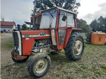 massey-ferguson 290 - Tractor: foto 1