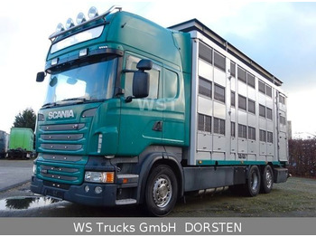 Scania R 440 Topline KABA 3 Stock Hubdach  - Camión transporte de ganado: foto 1