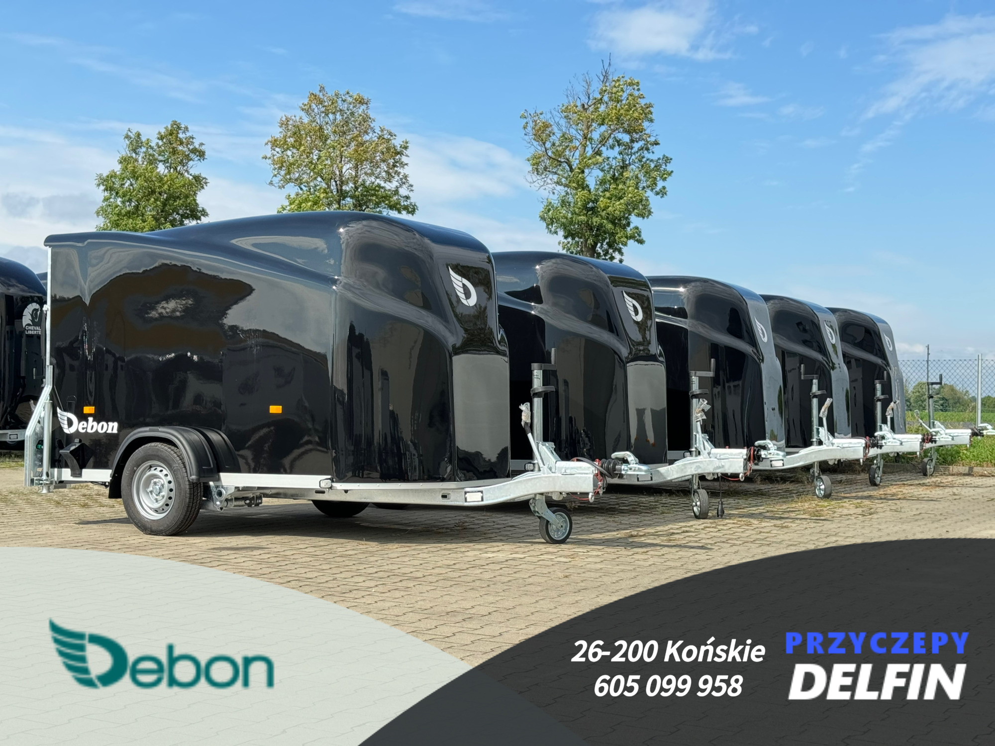 ZPHU DELFIN Gruszkiewicz Andrzej undefined: foto 6