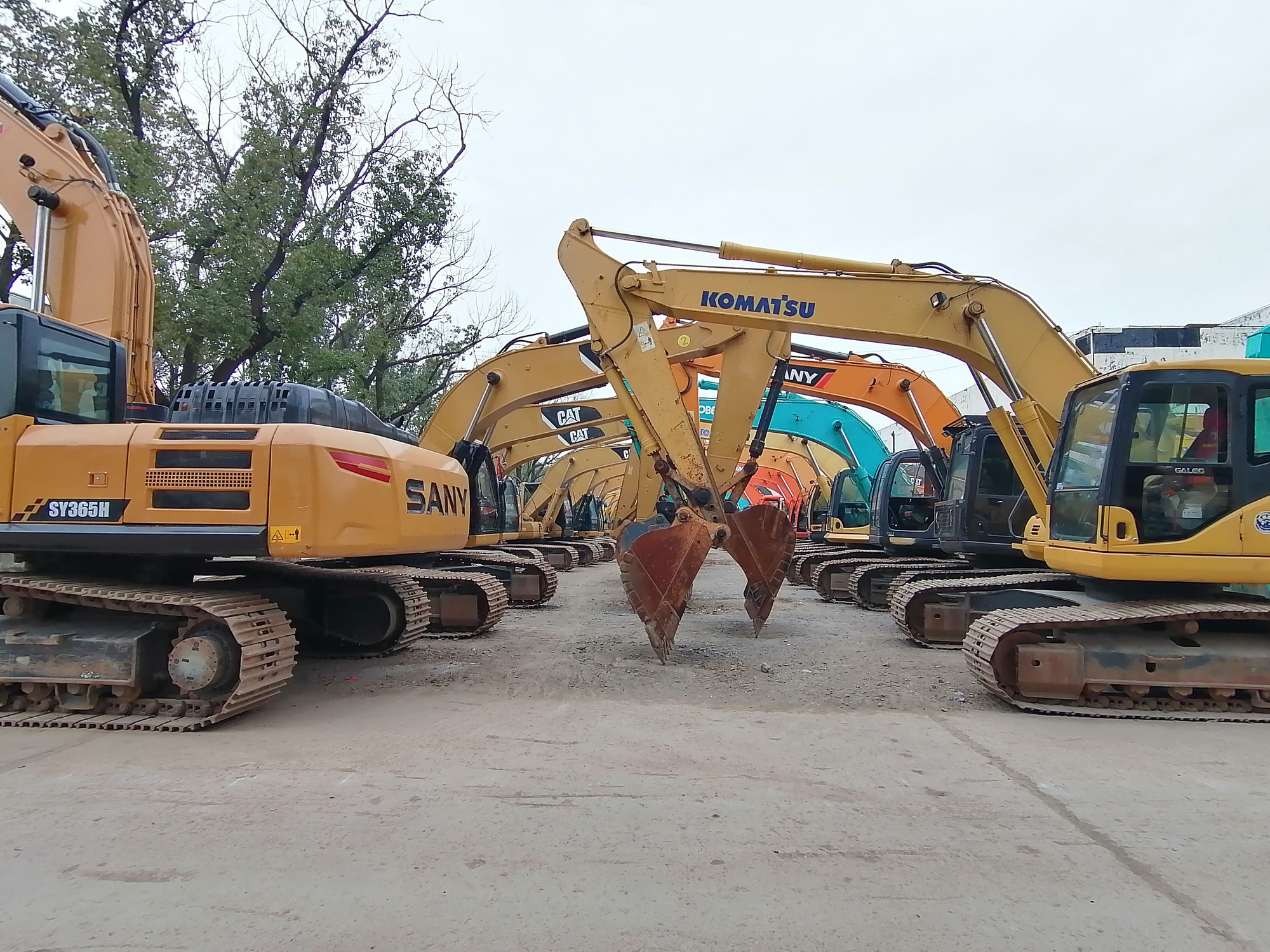 Qingdao Higher Weight Trade Co. LTD - Camiones - Año: 2024, diésel undefined: foto 6