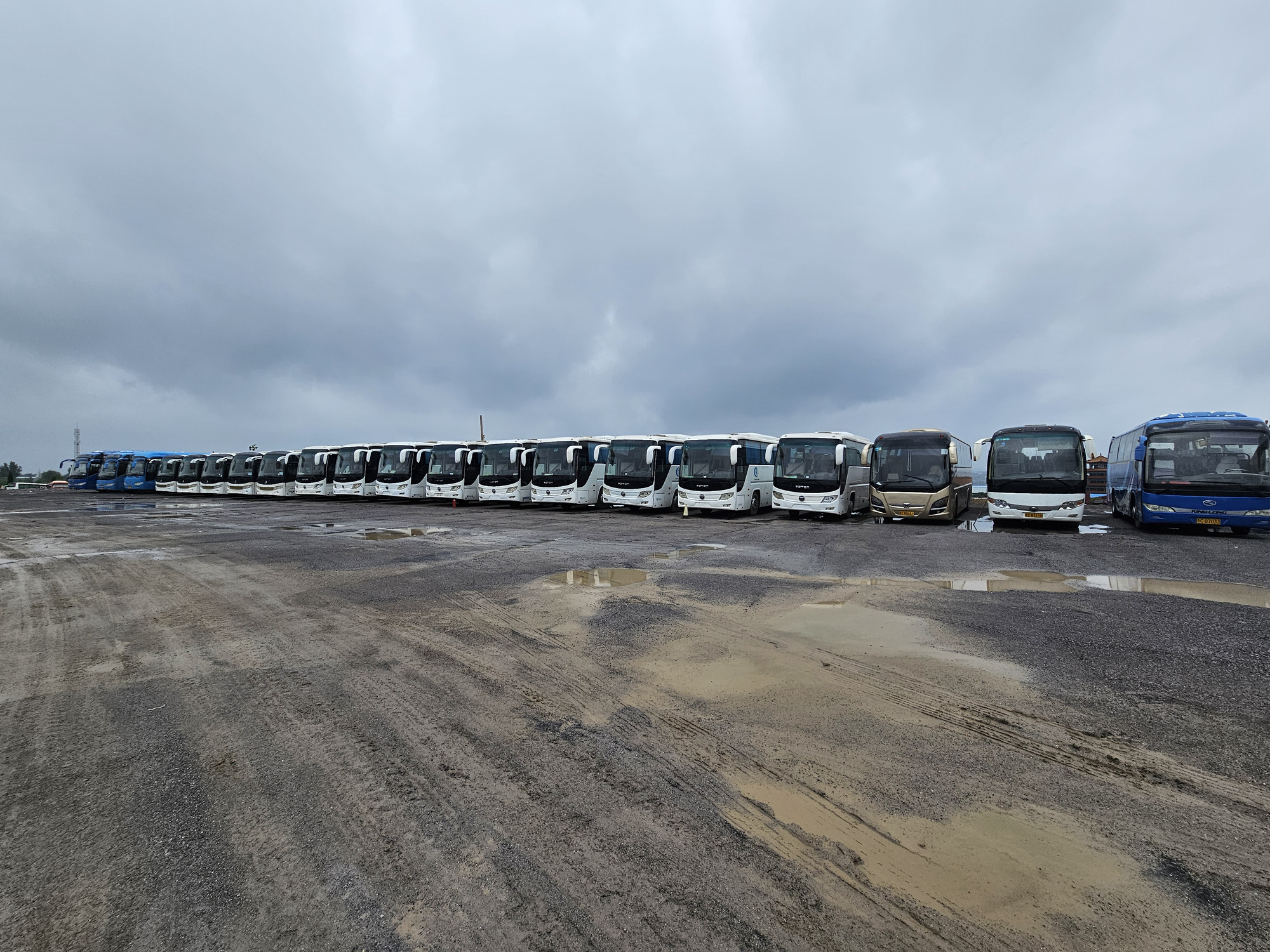 Qingdao Higher Weight Trade Co. LTD - Camiones - Año: 2024, diésel undefined: foto 5