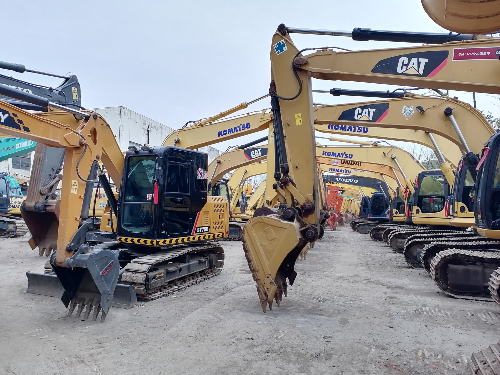 Qingdao Higher Weight Trade Co. LTD - Camiones - Año: 2024, diésel undefined: foto 8