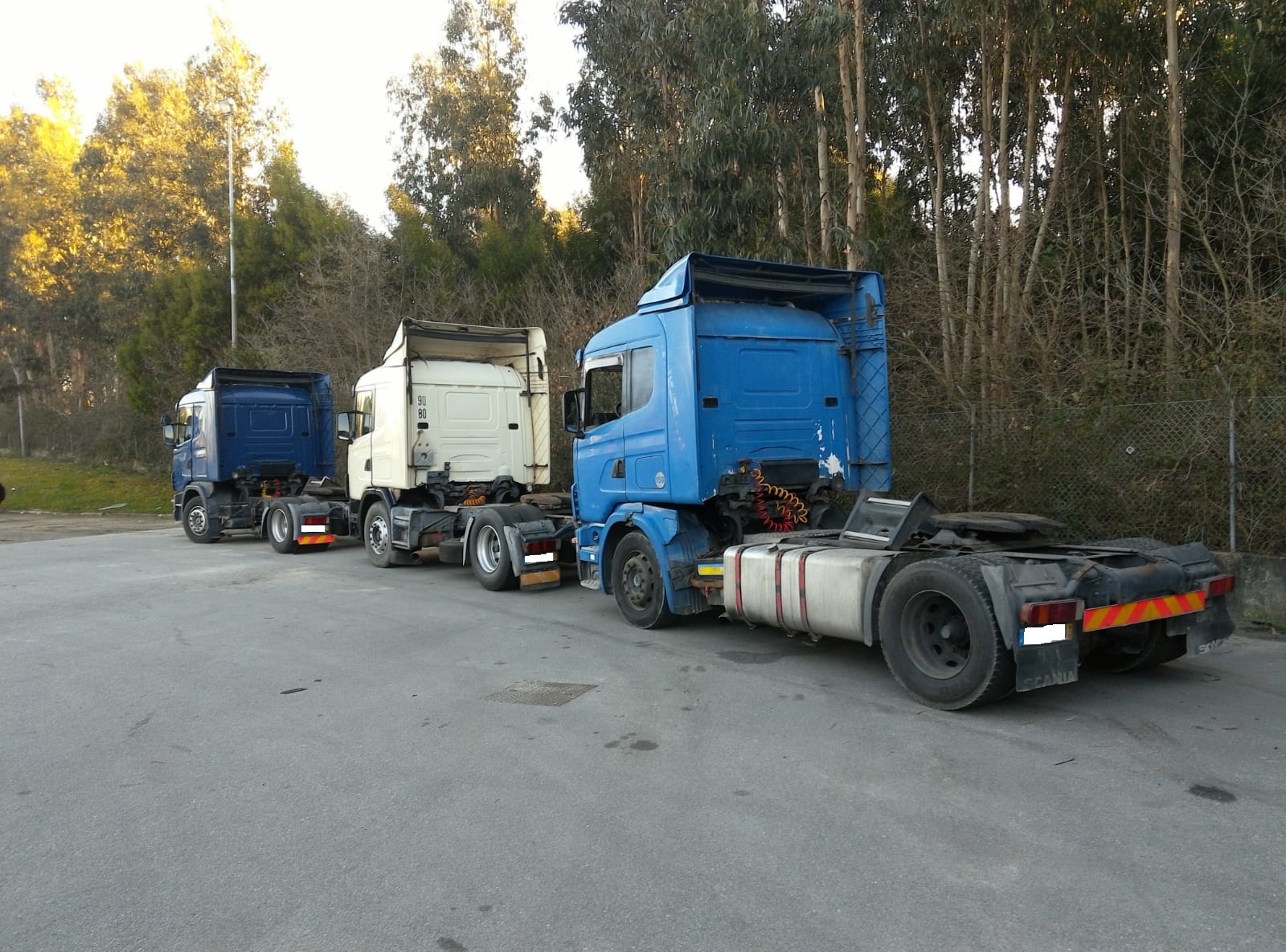 Britannia Export Consultants Limited - anuncios sobre venta undefined: foto 17