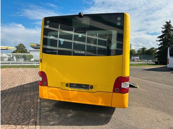 Autobús urbano MAN Lions City A21: foto 4
