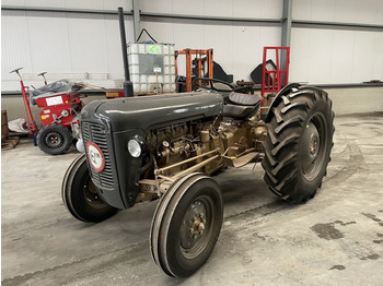 Tractor Massey Ferguson Goudbuik: foto 1