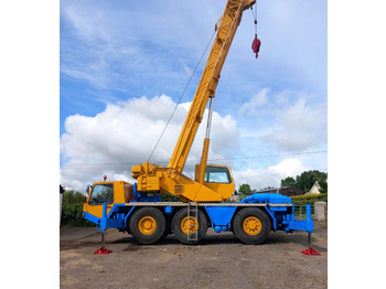 Autogrúa TADANO RTF 40-3