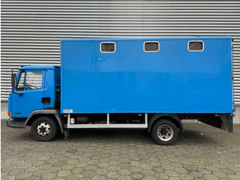 Camión transporte de ganado DAF LF45.130 / Horse Truck / 6 Cilinder / Manual Gearbox / Euro 2 / NL Trucks: foto 5