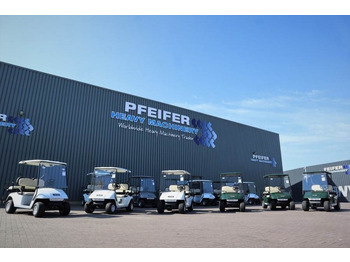 Carrito de golf BRINGO