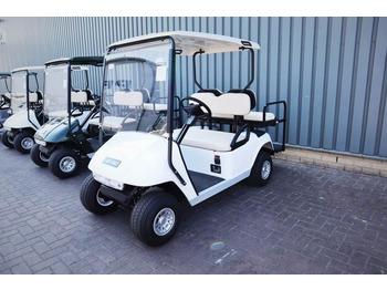 Carrito de golf BRINGO DG-C2 Valid Inspection, *Guarantee! Dutch R: foto 5 Carrito de golf BRINGO DG-C2 Valid Inspection, *Guarantee! Dutch R: foto 5