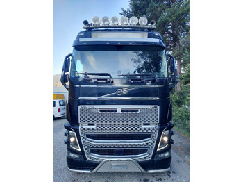 Arrendamiento de  Volvo FH16-650 4x2, Euro 6, VEB, airbrush Volvo FH16-650 4x2, Euro 6, VEB, airbrush: foto 2