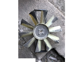 : imagen de cabecera