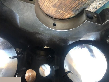 Motor para Maquinaria agrícola Mercedes OM 502 OM502 Blok Wał Korbowy Wałek Rozrządu: foto 5