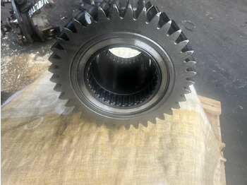 Recambio para Maquinaria agrícola Koło zębate 34/38z 87396960 new holland case: foto 2