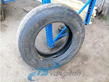 Neumáticos y llantas