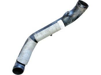 : imagen de cabecera