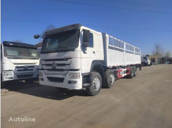 Camión caja abierta HOWO 8x4 drive: foto 1