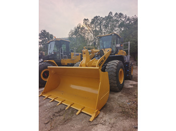 Cargadora de ruedas SDLG 956F: foto 5