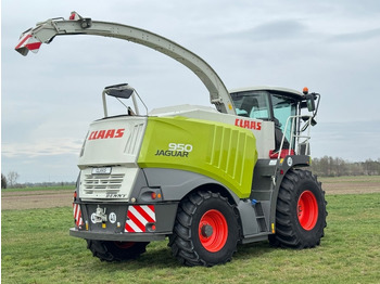 Cosechadora de forraje Claas Jaguar 950 Allrad: foto 5