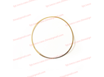 Motor y piezas IVECO