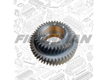 Motor y piezas IVECO