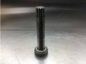 : imagen de cabecera