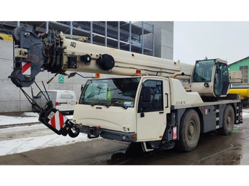 Grúa todo terreno TEREX