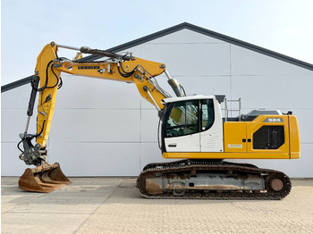 Excavadora de cadenas LIEBHERR R 924