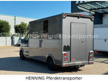 Camión transporte de ganado MAN TGE 3 - Sitzer *KLIMA PFERDEABTEIL*: foto 3