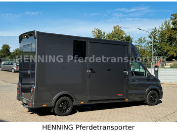 Camión transporte de ganado MAN TGE 3 - Sitzer *KLIMA PFERDEABTEIL*: foto 5