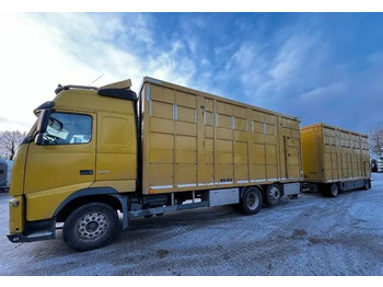 Camión transporte de ganado VOLVO FH 420