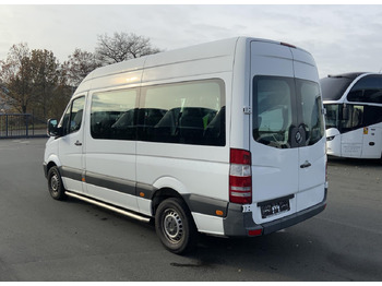 Minibús, Furgoneta de pasajeros Mercedes-Benz 313 CDI Sprinter: foto 3