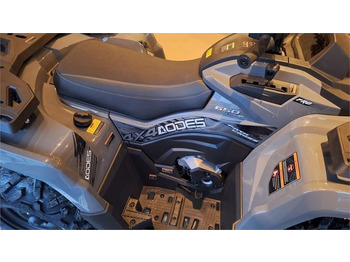 Cuadrimoto AODES PATHCROSS 650 L (T3A) fabriks ny: foto 5