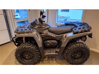Cuadrimoto AODES PATHCROSS 650 L (T3A) fabriks ny: foto 2