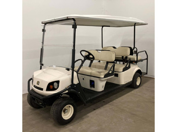 Carrito de golf